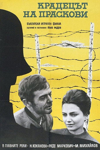 The Peach Thief movie poster