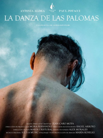 La danza de las palomas movie poster