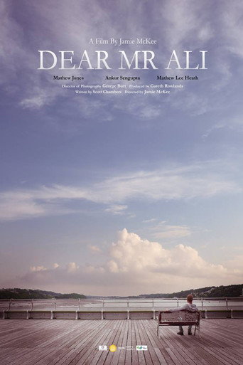 Dear Mr Ali movie poster