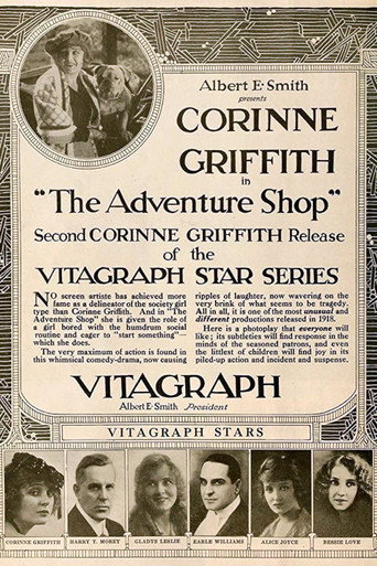 The Adventure Shop movie poster