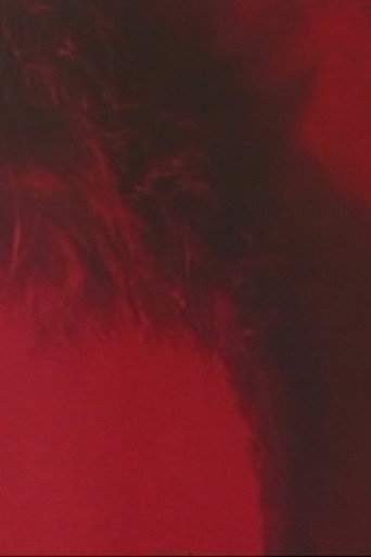 RAVEN TIME, IRON VOICE movie poster