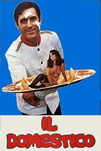 The Household movie poster