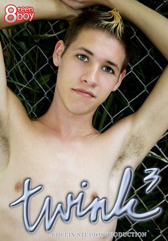 Twink 3 movie poster