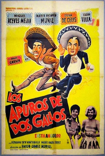 Los apuros de dos gallos movie poster