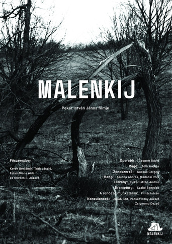 Malenkij movie poster