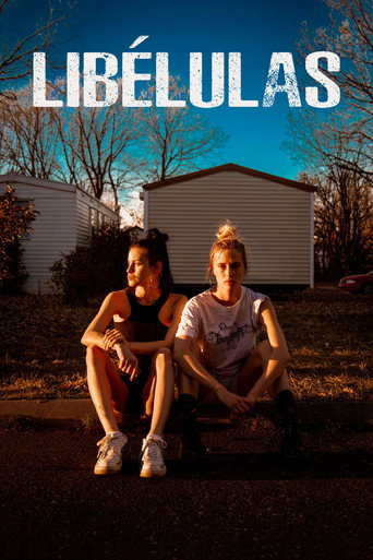 Dragonflies movie poster