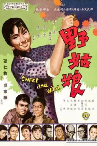 Sweet and Wild movie poster