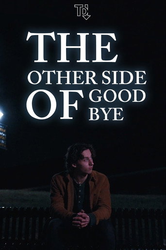 The Other Side of Goodbye movie poster