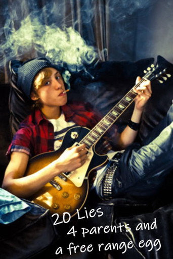 20 Lies, 4 Parents and a Little Egg movie poster