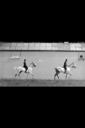 Cheval Monté, Deux Chevaux Bais Se Suivant au Pas movie poster