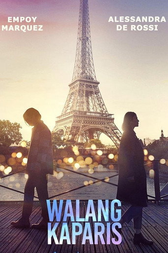 Nothing Like Paris movie poster