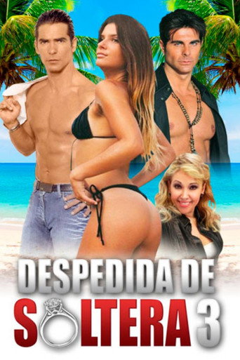 Despedida de soltera 3 movie poster
