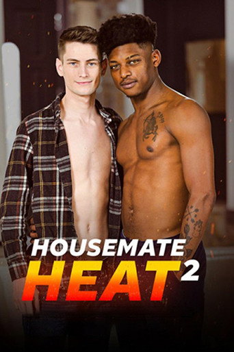 Housemate Heat 2 movie poster