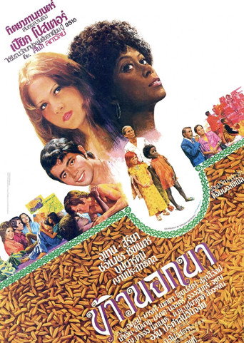 The American Surplus movie poster