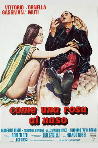 Pure as a Lily movie poster