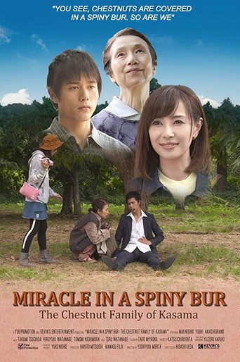 Miracle in Kasama movie poster