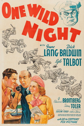 One Wild Night movie poster