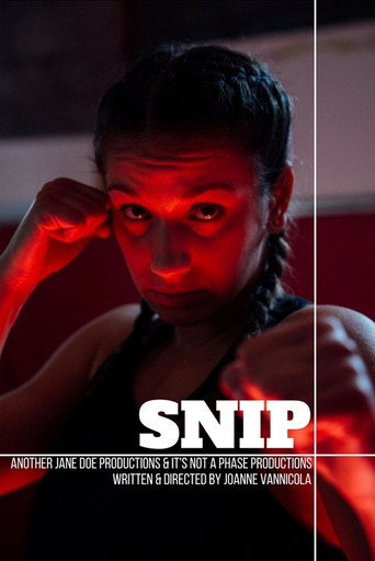 Snip movie poster