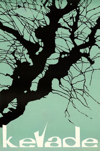 Spring movie poster