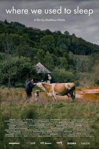 Where We Used to Sleep movie poster