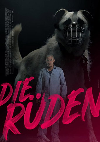 Die Rüden movie poster