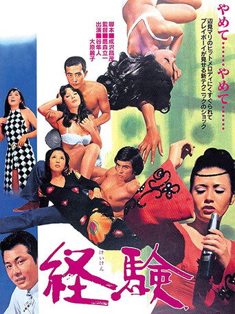 The Experience movie poster