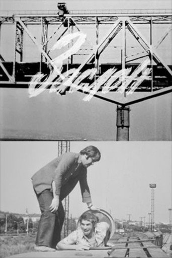 Barrier movie poster