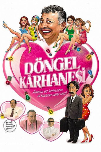 Döngel Kârhanesi movie poster