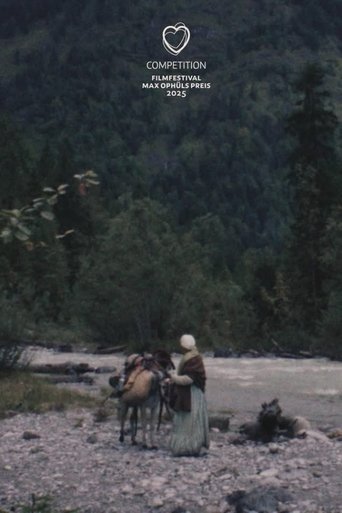 Gold Rush movie poster