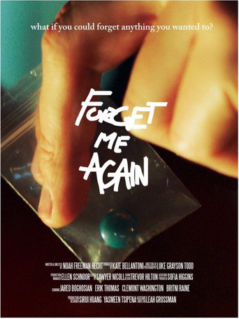 Forget Me Again movie poster
