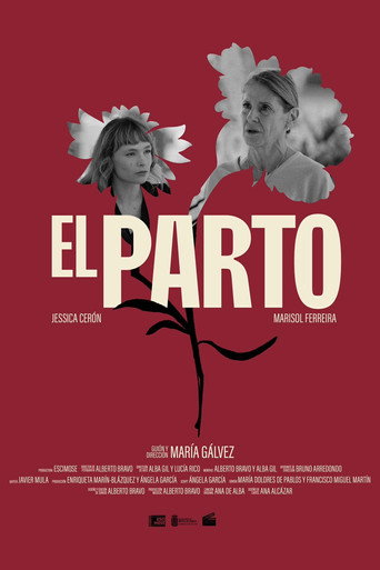 El Parto movie poster