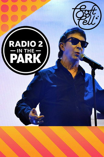 Soft Cell: Radio 2 in the Park movie poster
