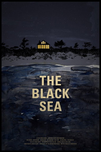 The Black Sea movie poster