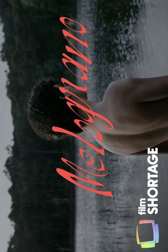 Melograno movie poster