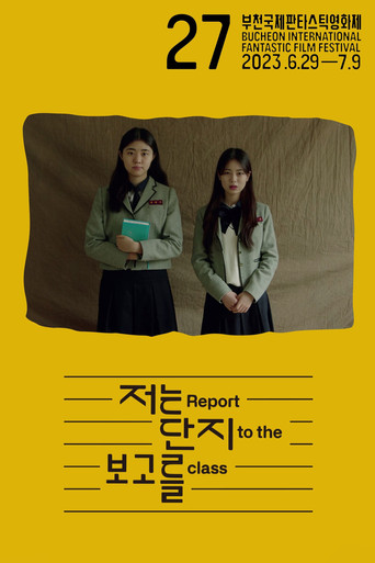 Report to the Class movie poster