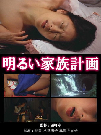 The Novelist's Affair: The Pleasures of Infidelity movie poster