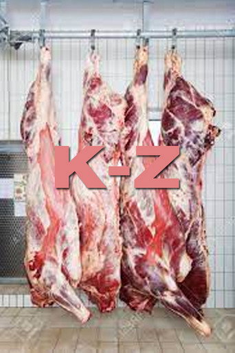 K-Z movie poster