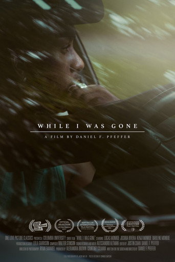 While I Was Gone movie poster