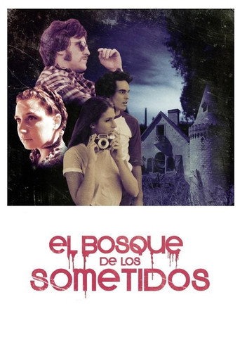 The Flaying movie poster