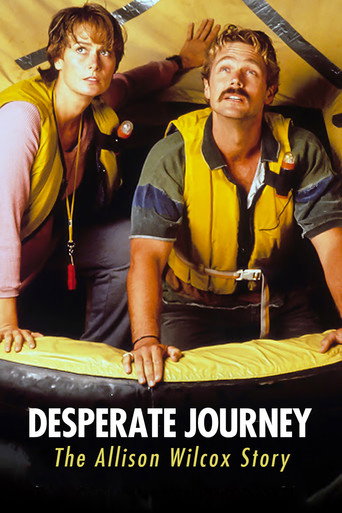 Desperate Journey: The Allison Wilcox Story movie poster