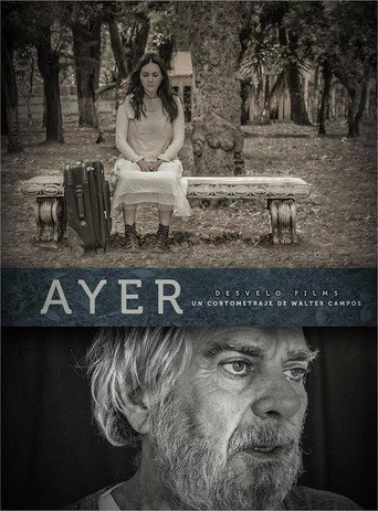 Ayer movie poster