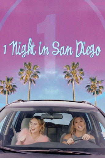 1 Night in San Diego movie poster