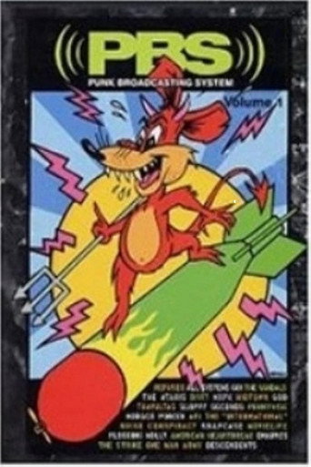 PBS: Punk Broadcasting System movie poster