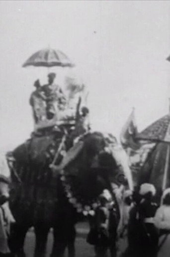 Procession of Elephants with Howdahs - India movie poster