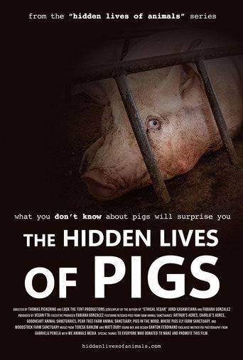 The Hidden Lives of Pigs movie poster