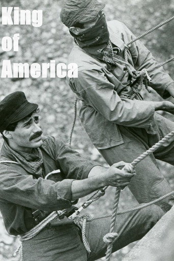 King of America movie poster