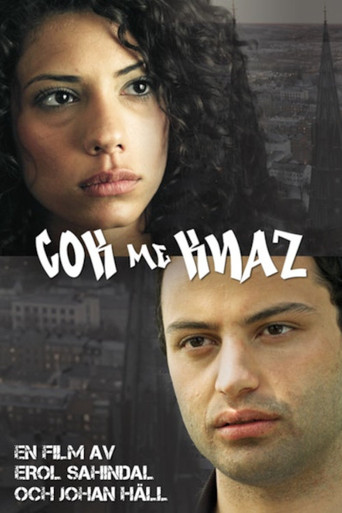Cok me knaz movie poster