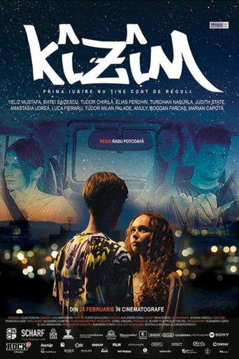 Kîzîm movie poster