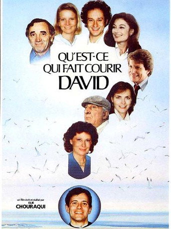 Qu'est-ce qui fait courir David ? movie poster