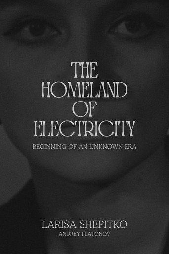 The Homeland of Electricity movie poster